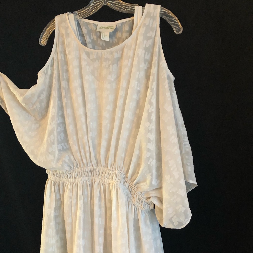 H & M Conscious Collection dress